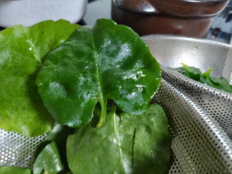 自分のカラダと付き合っていくこと