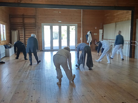 grupo pratica levedance no estoril e lisboa com Geane Bonfim para recuperação de vitalidade e gestão de estress através do movimento sentido.