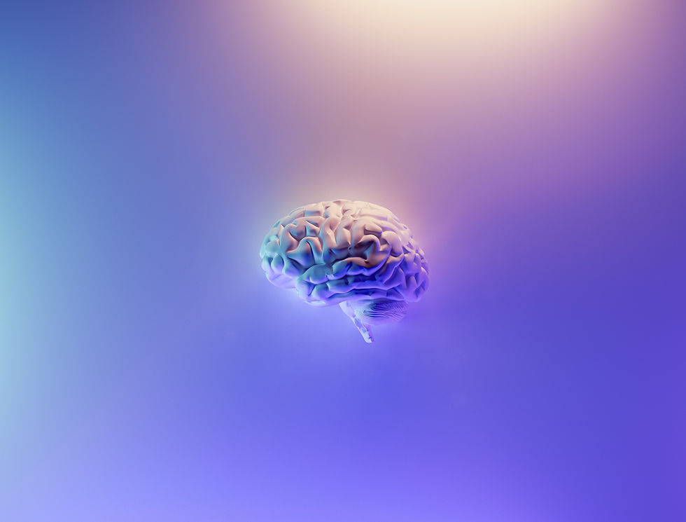 Brain event vol.2