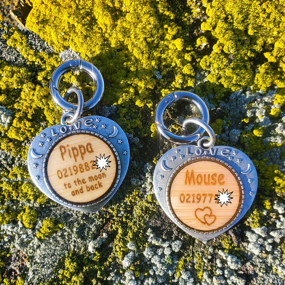 Thumbnail: Silver Moon,Stars,Love Med/Lge for Dogs