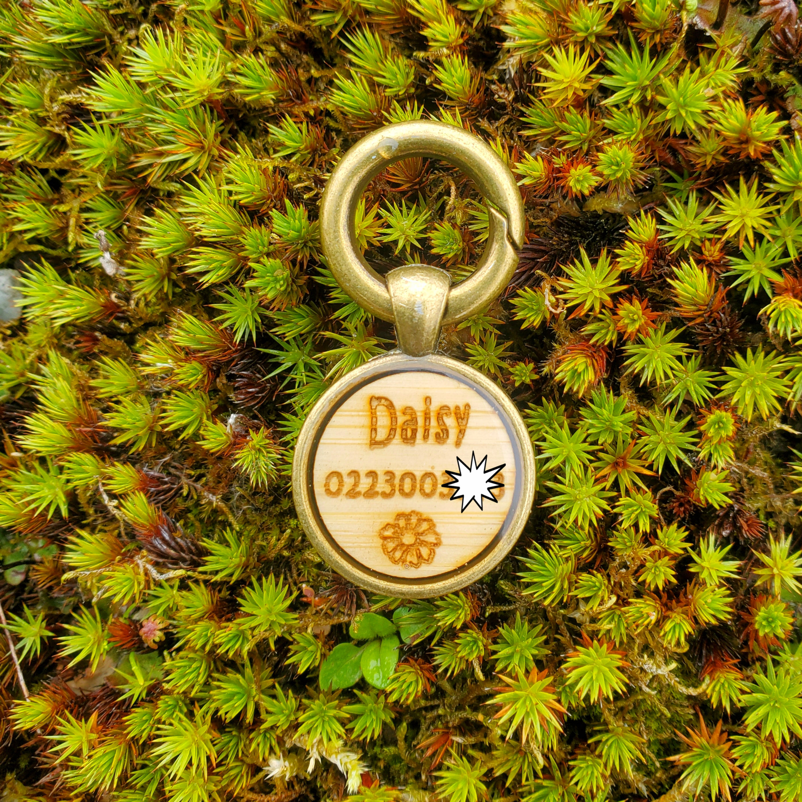 Antique Bronze Round Small for Cats & Dogs