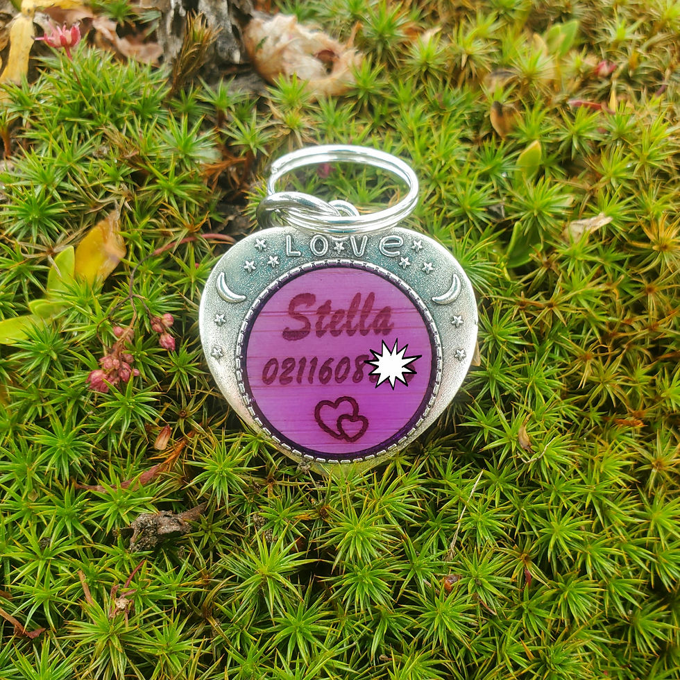Thumbnail: Silver Moon,Stars,Love Med/Lge for Dogs