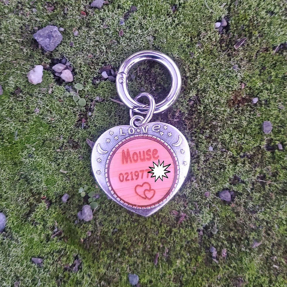 Thumbnail: Silver Moon,Stars,Love Med/Lge for Dogs