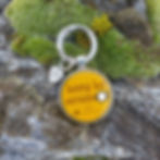 Thumbnail: Antique Silver Round Med/Lge for Dogs