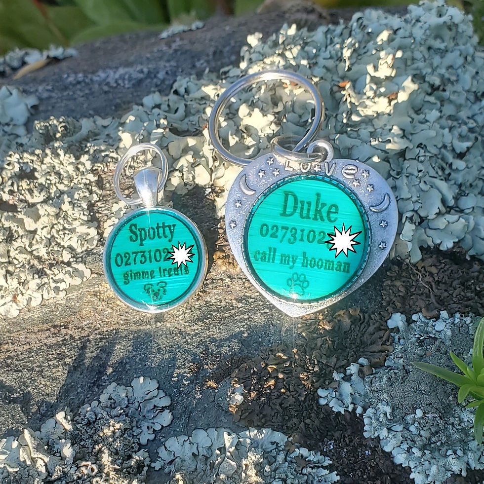 Thumbnail: Silver Moon,Stars,Love Med/Lge for Dogs