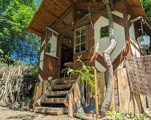 Cabane du Druide (5).jpg