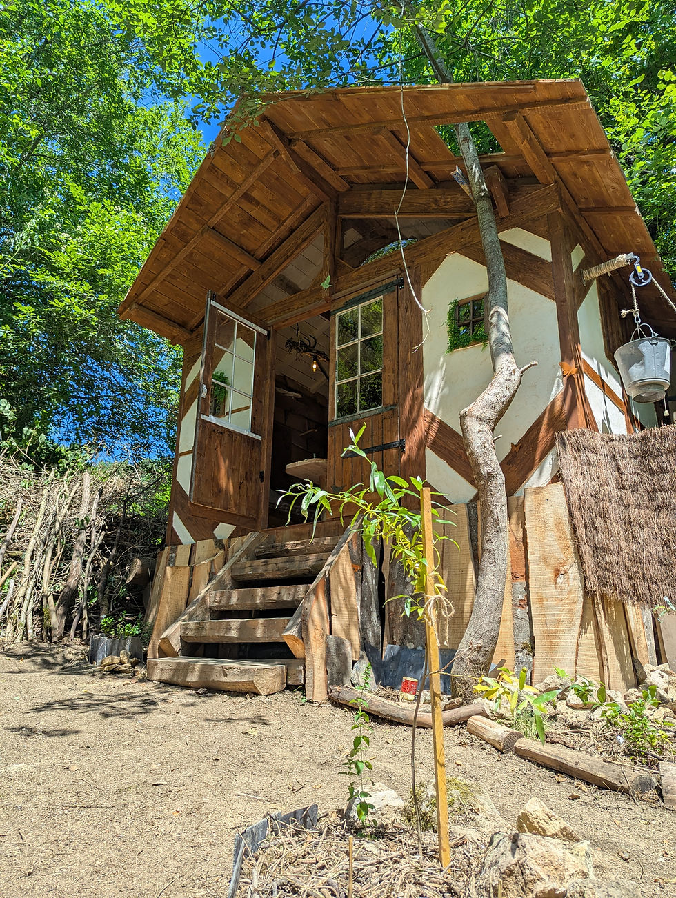Cabane du Druide (5)