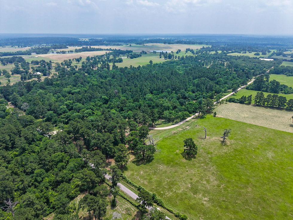 DJI_20250520133704_0023_D-2.jpg