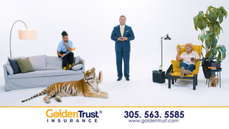 No dejes que un tigre mande en tu propia casa. Goldentrust Insurance