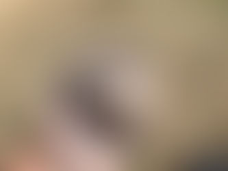 Ancestral Skills generalist