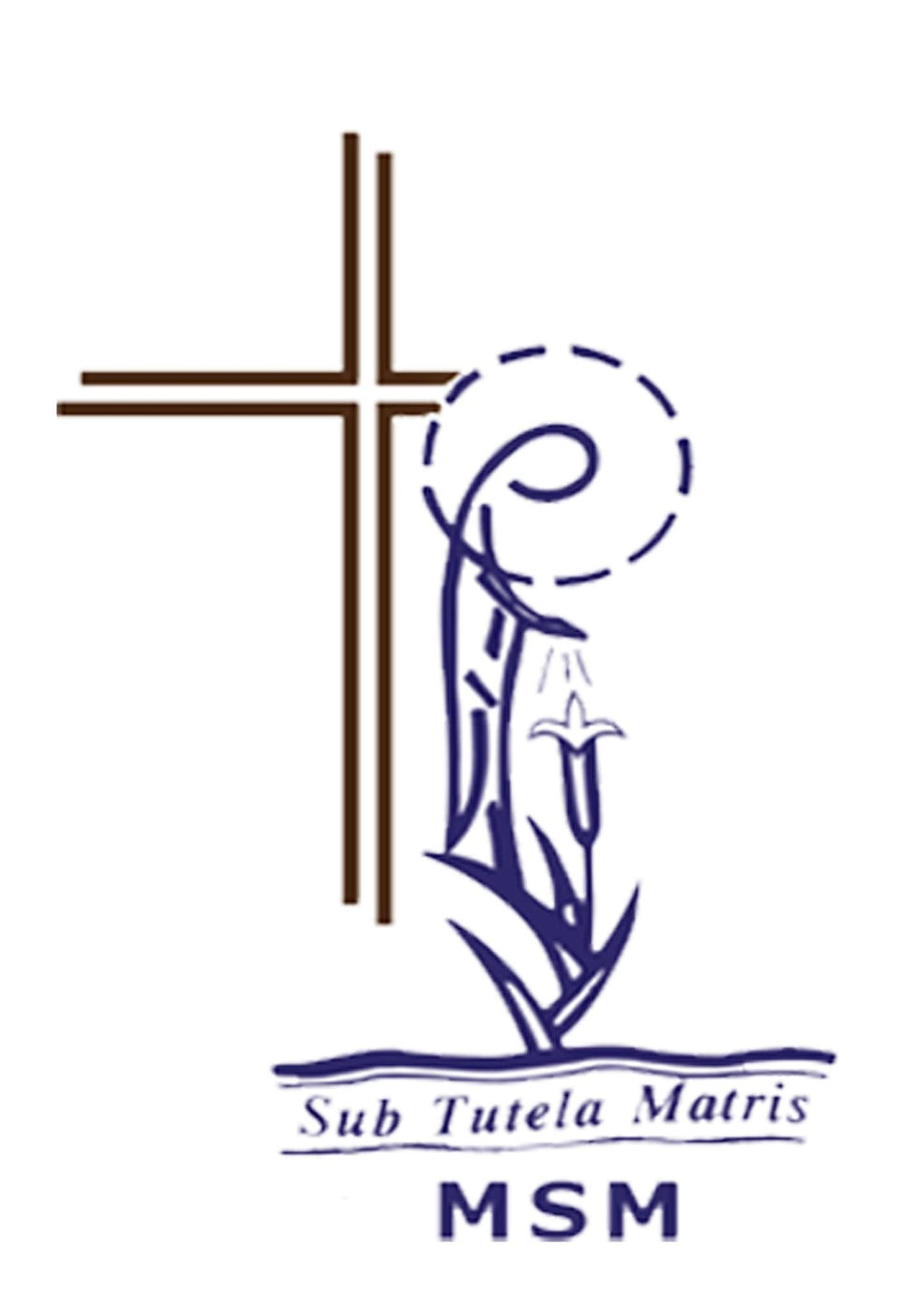 MSM LOGO