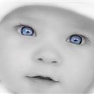 VideoTech Video Scrapbooking