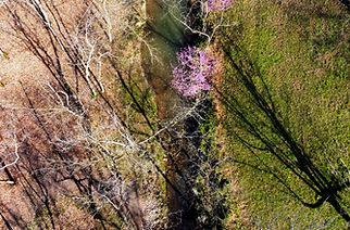 Pond.bridge_edited.jpg