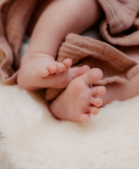 Pic - Lückenfüller.jpg