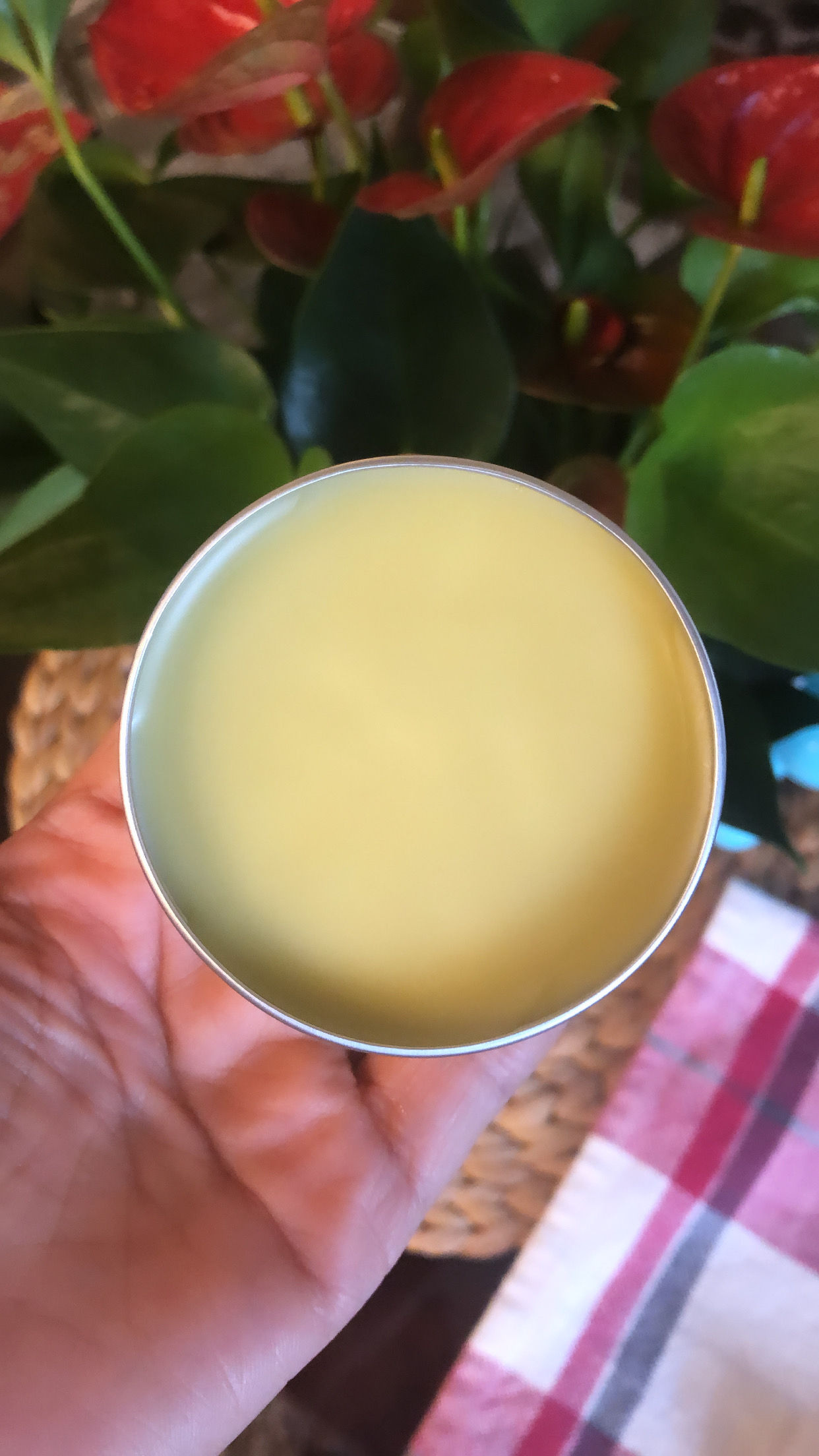All Purpose Skin Nourishing Salve