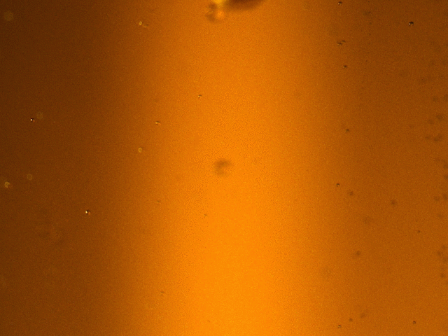 BUD_PRORES_43_VIMEO_1.gif