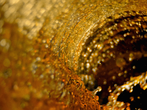 BUD_PRORES_43_VIMEO_2.gif