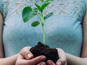 Care for God’s Creation