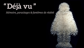 Exhibition image for "DÉJÀ VU", Galerie Plateforme, Paris, curated by Luz Blanco and Jean-Baptiste Perrot, featuring artists Luz Blanco, Pauline Dufour, Jean-Baptiste Perrot, Samuel Yal, and Brankica Žilović, 1–17 October 2021