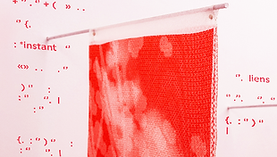 Biennale Image Tangible, Luz Blanco, Paris, 2023.