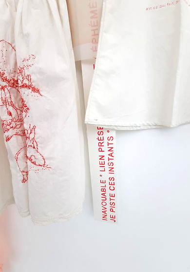 Dust of Reality detail, Luz Blanco, 2026. Embroidery and silk print on fabric. Amnésia, Centre Tignous, Montreuil.