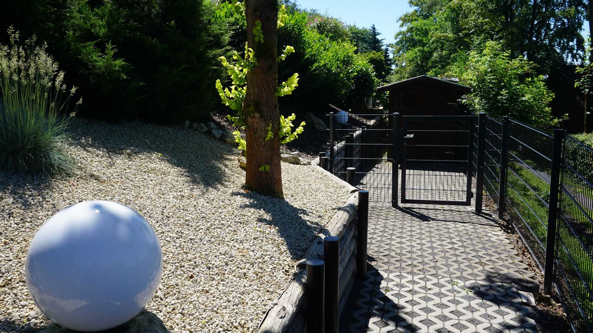 Urlaub mit Hund in Thüringen