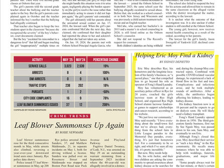In the Press - Rye Record