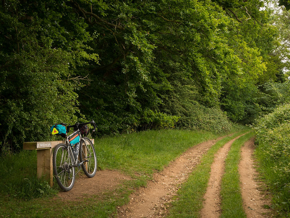 Bicycle leaning against a bench on the side of a lush, green forest trail.