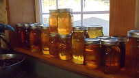 2013 03 17_0313.JPG