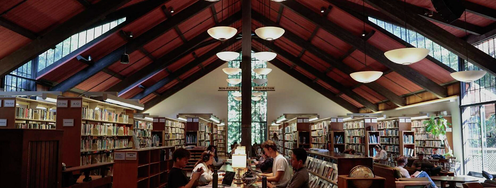 Librarywithlights