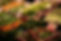 jan-canty---XaLE4wF6s-unsplash.jpg