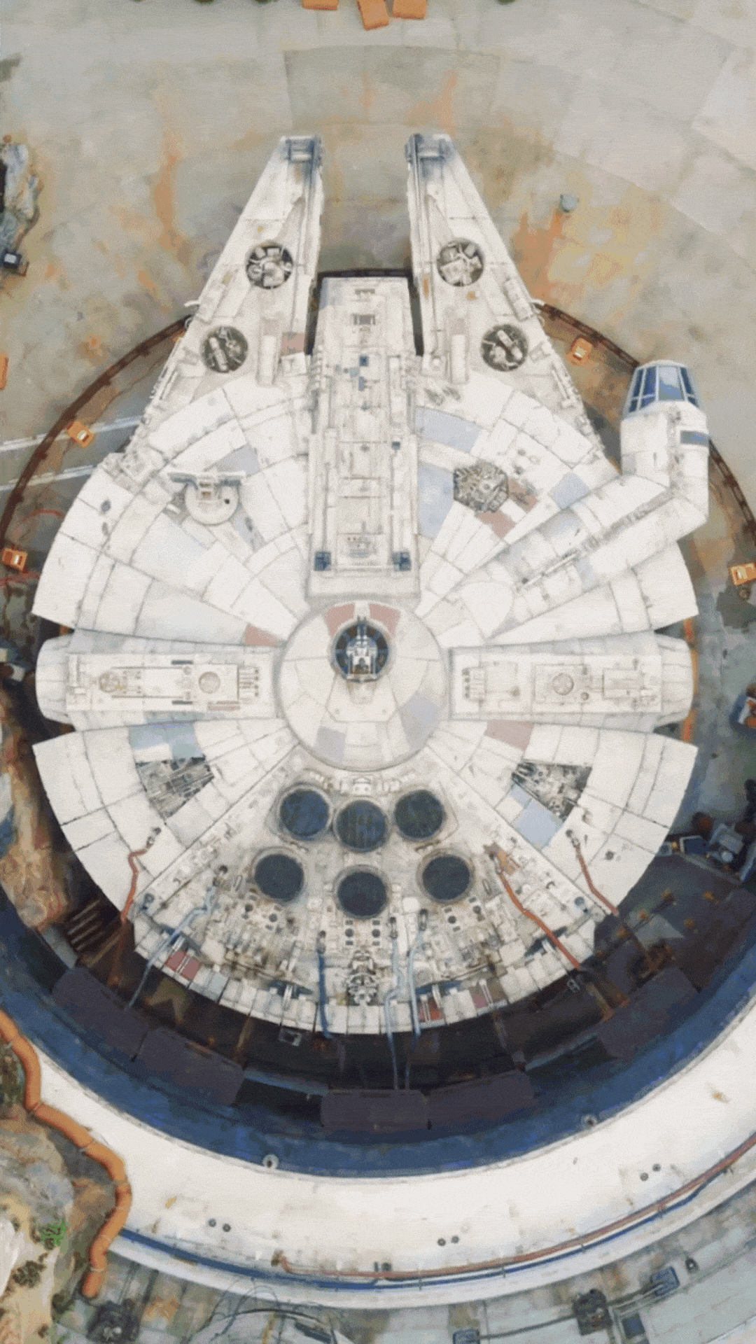 981c22_a5ab631bc3934fbfa5fce0a042cd2471~mv2.gif