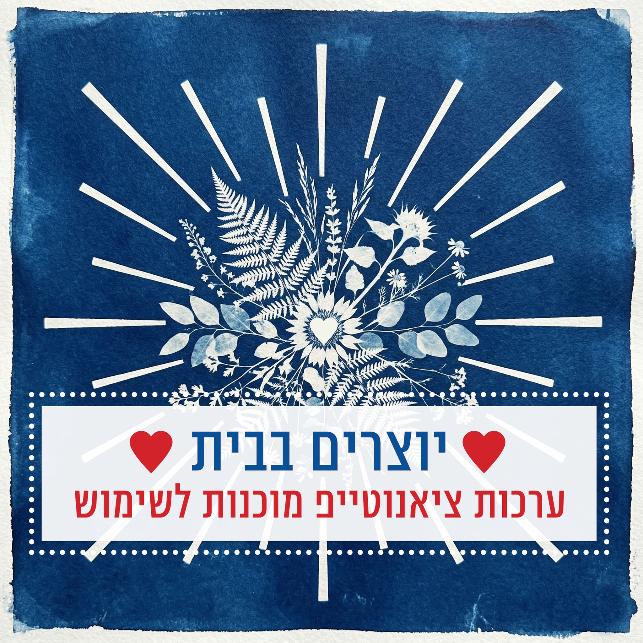 ערכת ציאנוטייפ מוכנה לשימוש