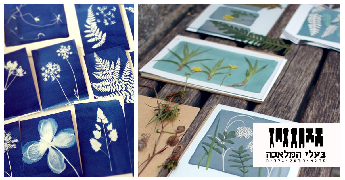 סדנת ציאנוטייפ - דפוס שמש