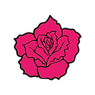 Pink Rose Graphic