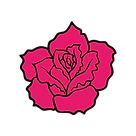 Pink Rose Graphic