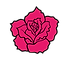 Pink Rose Graphic