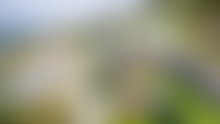 I Nordens Paradis velger stadig flere ChargeUp 