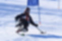 adaptiveski.jpg