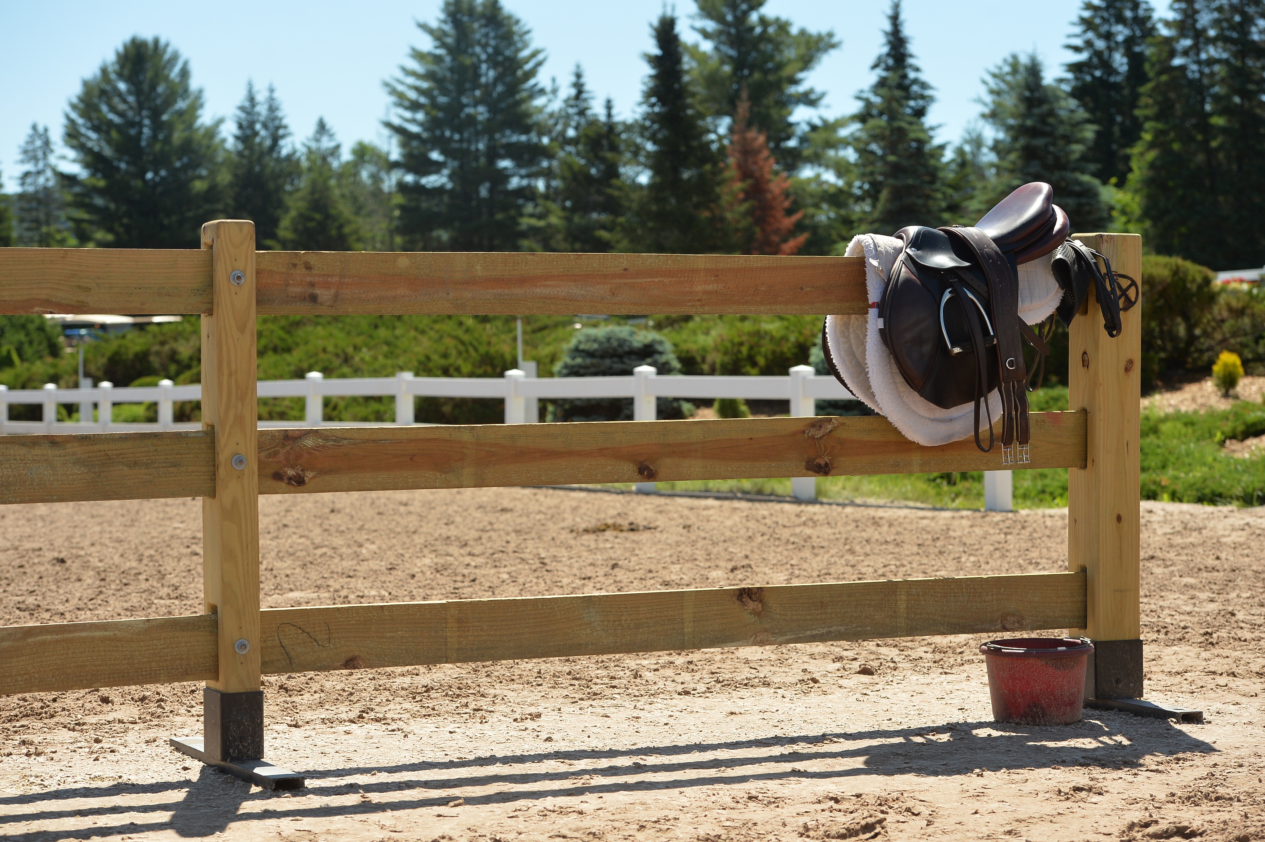 Lake Placid Horse Show