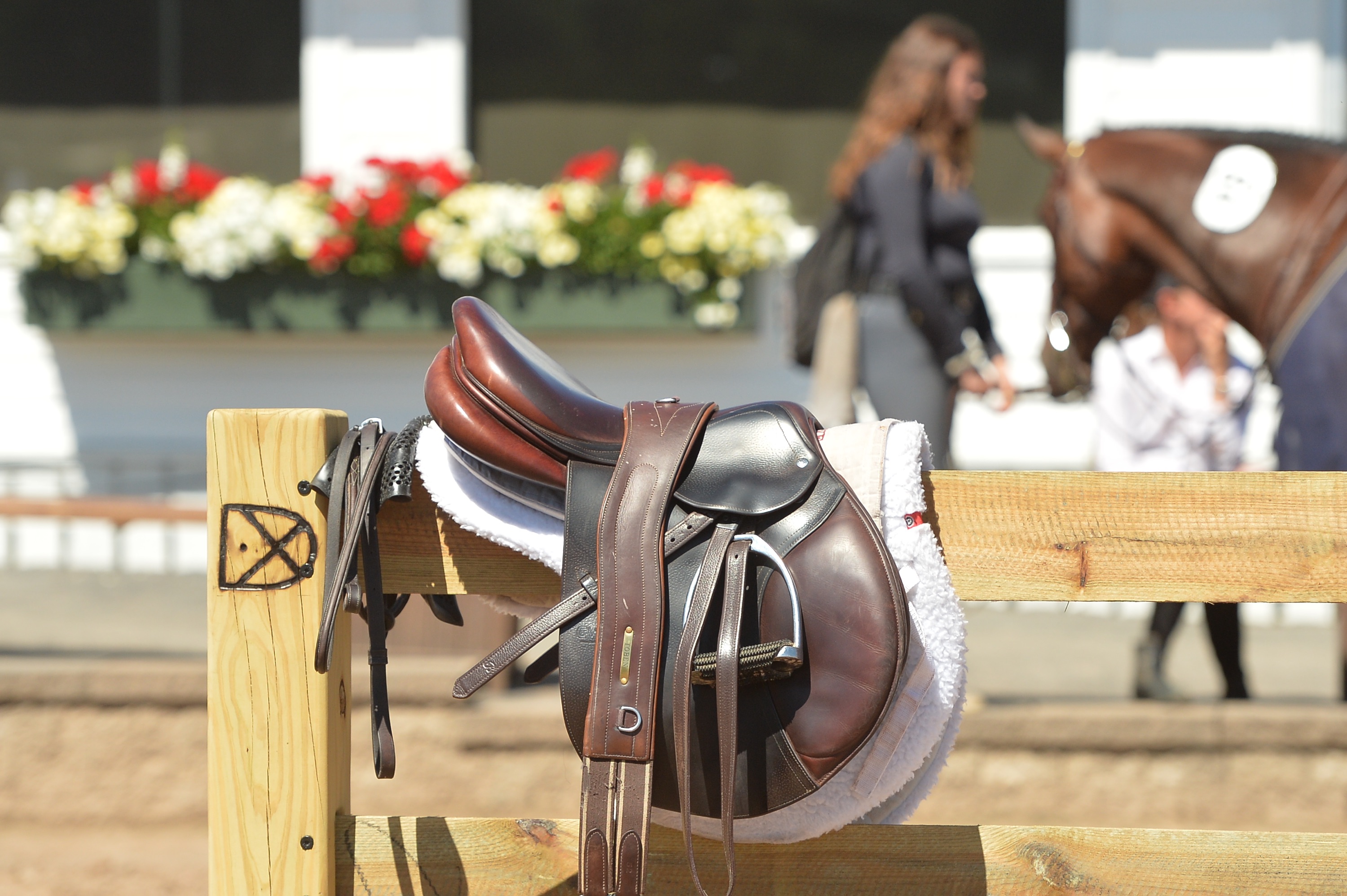 Lake Placid Horse Show