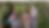 Woods2.png