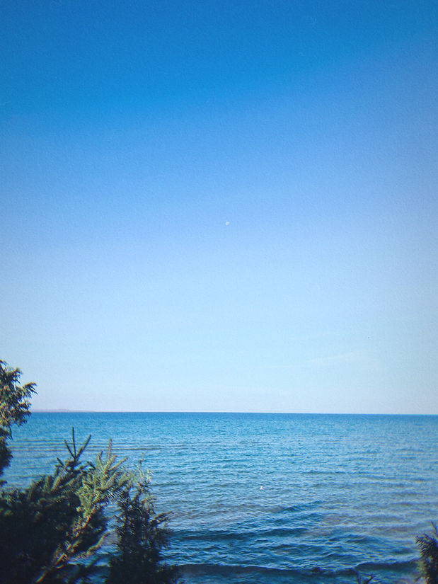 IMG_1753068010597.JPEG