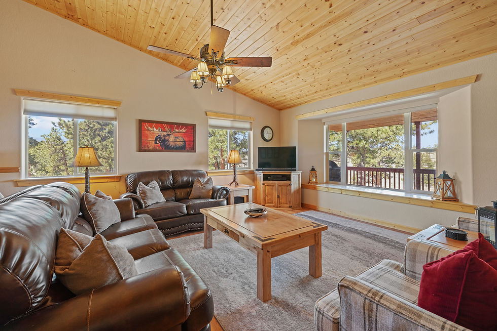 Open concept living room with an abundance of natural light