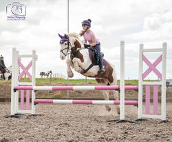 Show Jumping