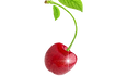 Cherry_edited.png