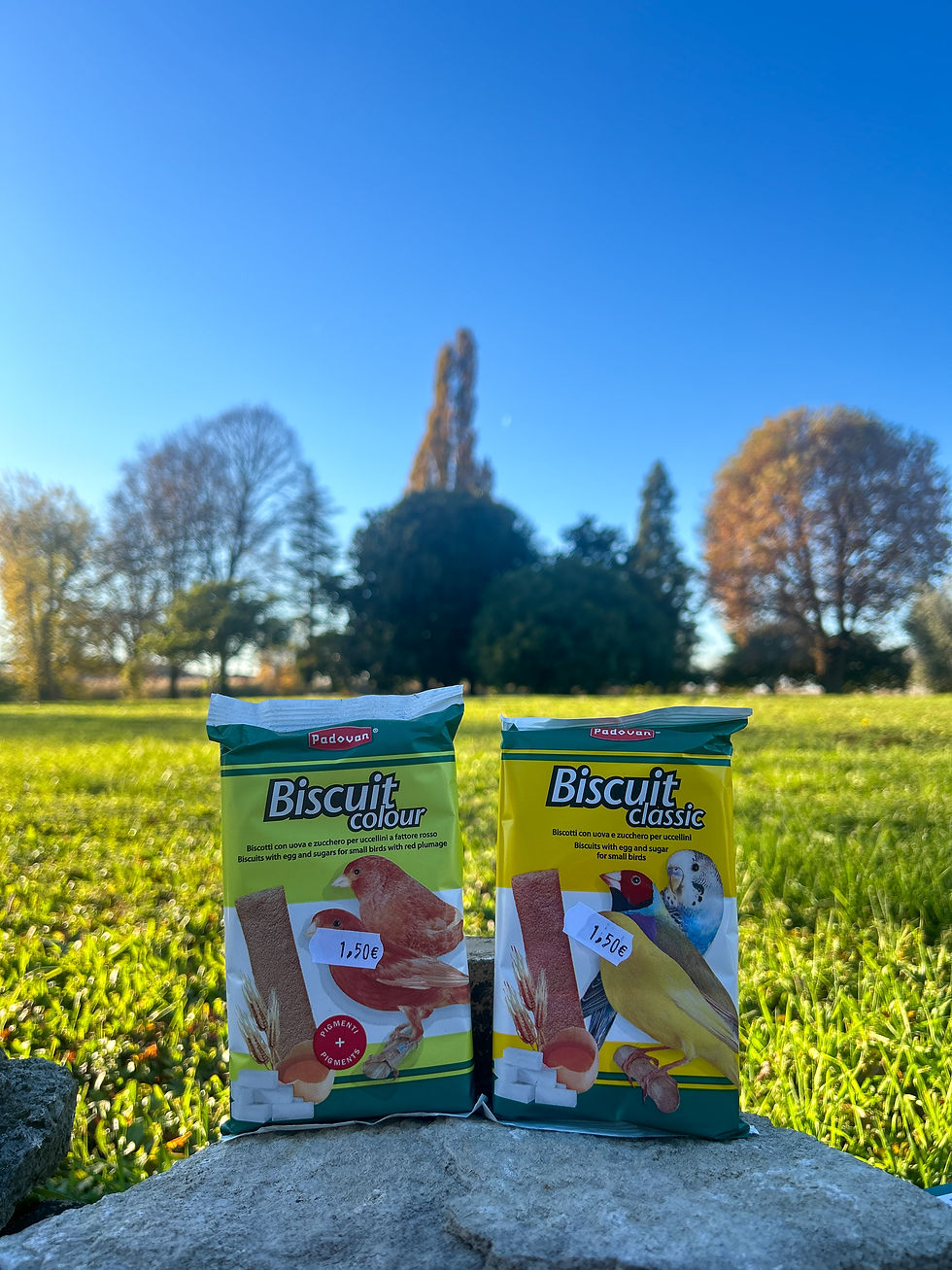 Biscuit colour/classic