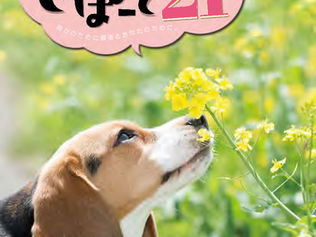 「さぽーと21」春号完成