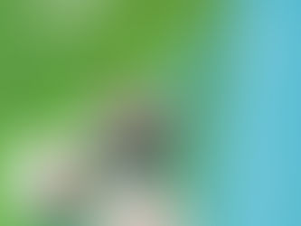 防衛省 「幹部候補曹」パンフを制作 今年度採用試験 現場経験積み3尉に