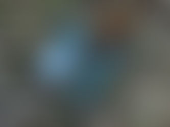 空自T4練習機が墜落　事故現場で機体の一部発見（2025年5月14日）